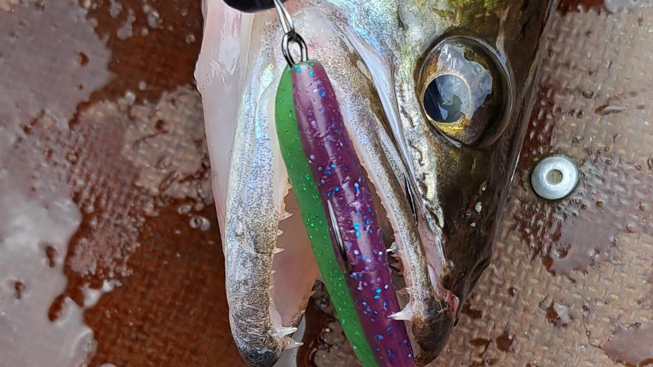 ПОКЛЕВКА СУДАКА НА КАЖДОМ ЗАБРОСЕ - ЭТО ЖОР! Рыбалка на спиннинг на реке Волга. смотреть онлайн