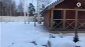 Продано СНТ Дубровец Кировский район ЛО 1-линия, продажа зимнего дома с участоком 20 соток