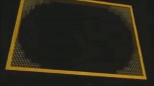 Эволюция или Сотворение? Структура пчелиных сот.