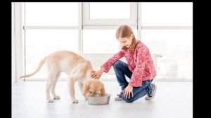 "Тусовка" Ксения Куприкова