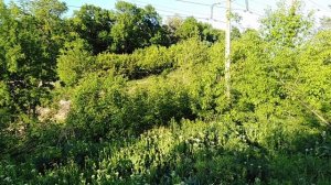 ⚡Молитва Роду для укрепления силы Духа🔥