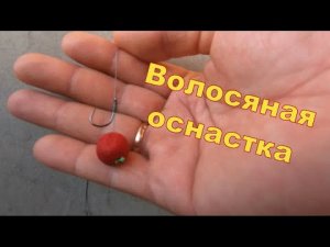 Карповый поводок, волос на сазана, карася