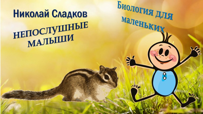Н.СЛАДКОВ 