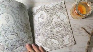 Топ‐10 раскрасок, которые я купила бы снова. Раскраски‐антистресс для взрослых