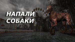 Сталкер напали собаки
