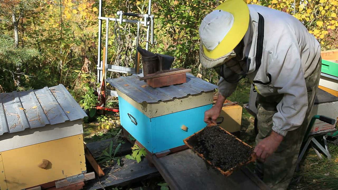 Зимовка в одном корпусе Рута смотреть онлайн