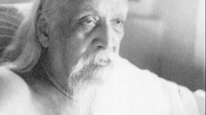 Сатпрем. Шри Ауробиндо или Путешествие Сознания. Глава 11