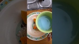 Реборны из тик тока