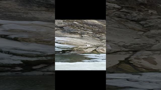 VID_20230102_134533.mp4