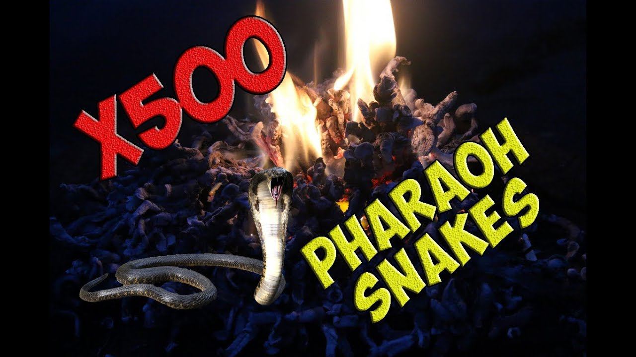 500 фараоновых змей - самый большой эксперимент на YouTube