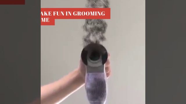 Dog Trimmer for your Pet смотреть онлайн