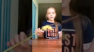 Как ухаживать за своим котом или кошкой