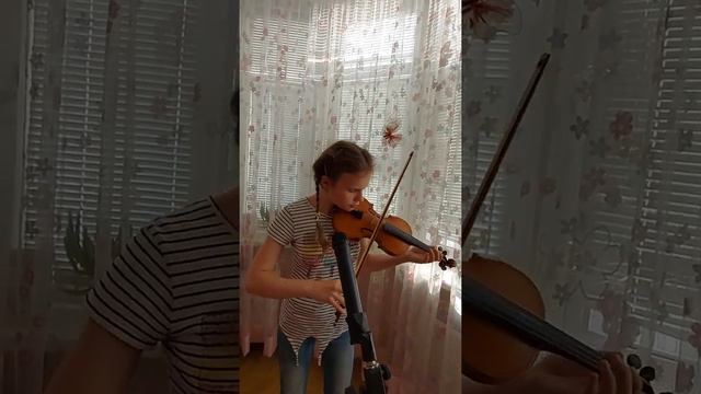 shape of my heart  (cover) скрипка 🎻 смотреть онлайн