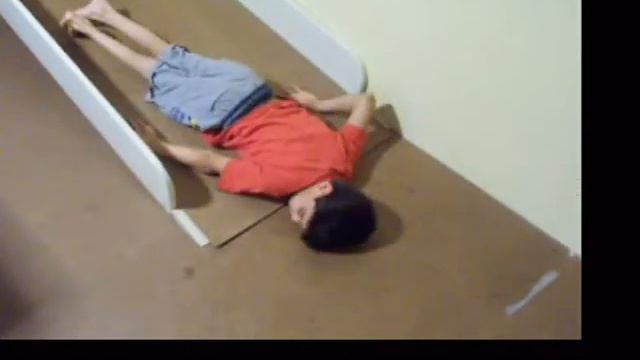 Metodo Glenn Doman TOBY Gallea IAHP MAY 2009 смотреть онлайн