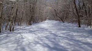 Весенний мотив.😊