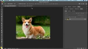 Adobe Photoshopda ishlash