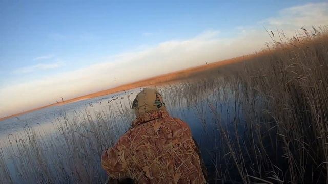 Охота на утку Лиманы Краснодарского края смотреть онлайн