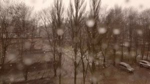 Служение Богу как принцип любви