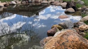 Рыбалка во дворе пруд на даче ловля карася