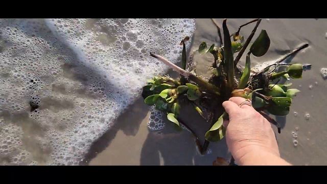 АМЕРИКАНСКИИЙ СЛЕНГ - УРОНИЛА МЯЧИК. СДЕЛКА НАСМАРКУ смотреть онлайн