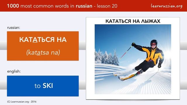 Russian vocabulary - lesson 20 - Animals in Russian & Animals in Russia! смотреть онлайн