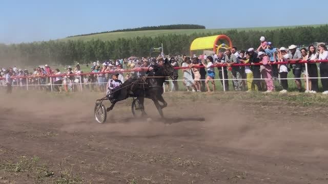 Скачки лошадей. Сабантуй 2023. Кугарчинский район РБ.