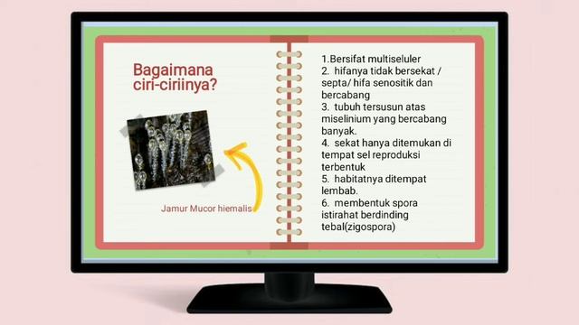 Fungi Mucor Hiemalis | Divisi Zygomycota | A. Fadilah MgB (211420739) смотреть онлайн