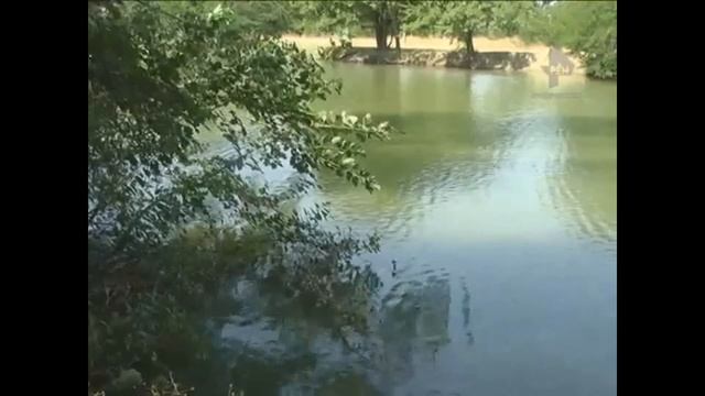 Спасатели ПАСС СК извлекли из реки тело 18-летнего юноши смотреть онлайн