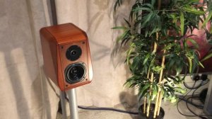 Audio Note Zero Valve System with Opera Callus speakers (Test demontration, ebay items)