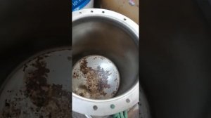 ТО шиномонтажный станок BL600  FLYING