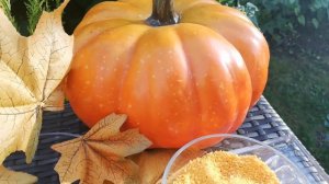 Ароматная тыквенная соль и универсальная тыквенная приправа. Рецепт с солью.