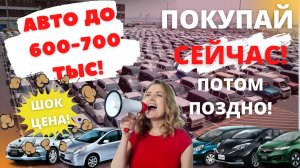 ЦЕНЫ на авто под заказ из Японии ДО 600 тыс! МАЙ 2022. Скупаем аукционы