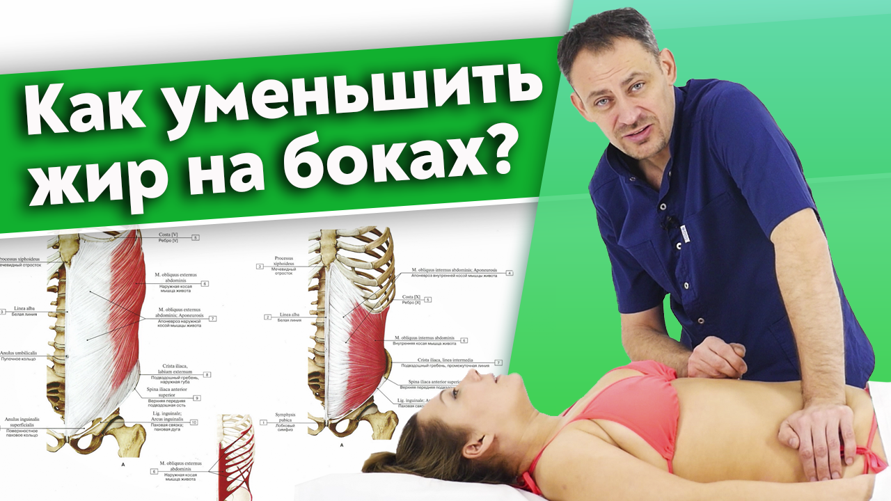Проблемы с косыми мышцами живота.
Как расположены косые мышцы живота?
