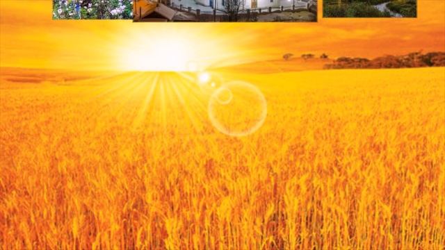 Жанна Бичевская - Радость моя смотреть онлайн