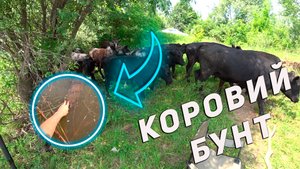 Рыбалка на Каме летом в грозу. Ловля плотвы. Ловля на фидер.