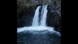 бежта природа