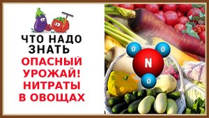 НИТРАТЫ В ОВОЩАХ - ЧТО НУЖНО ЗНАТЬ