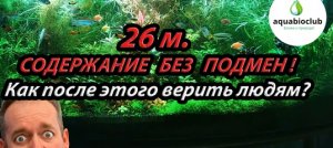 Обзор аквариума 26 м. без подмен на 260 л. Вот верь после такого людям!