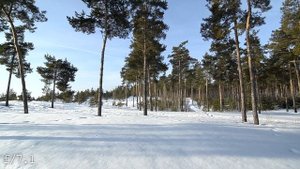 Tokina AF 12-24 mm F4 AT-X 124 PRO DX | Video Test