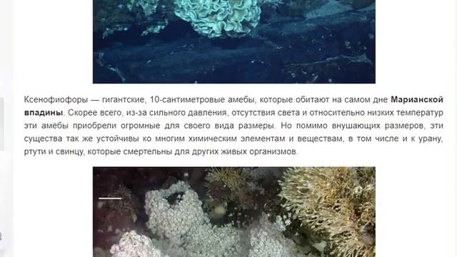 Кто живёт на ДНЕ Марианской впадины? Погружение Джеймса Кэмерона на дно в «Deepsea Challenger» смотреть онлайн