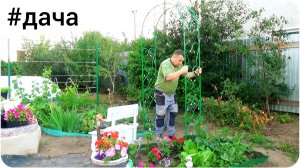 Садовая арка. Что пошло не так...  Неудачный день. Дача.