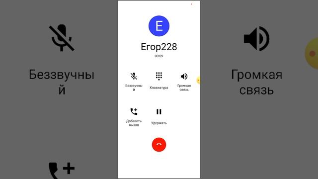 Звонок фейк Егора228