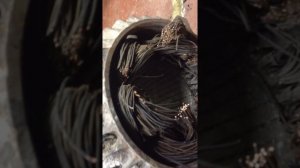 Как достать медь из двигателя.