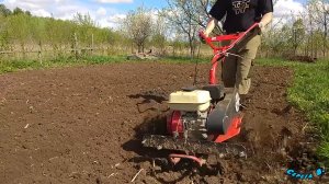 Вспашка фрезами с помощью мотоблока. Шесть фрез.