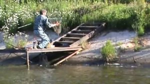 Платная рыбалка Чистые пруды июнь 2013