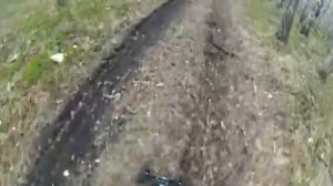 mountainboard