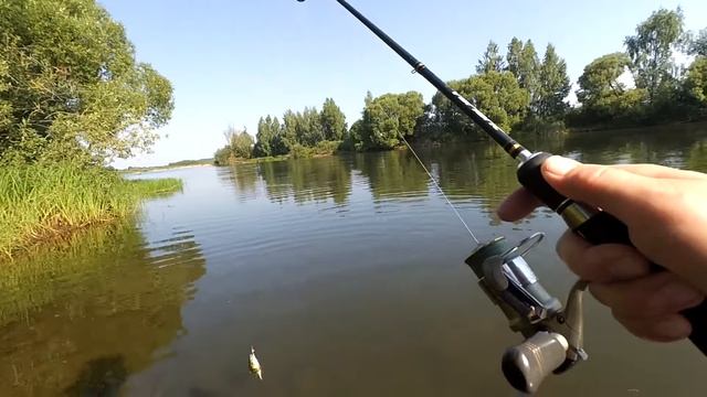 Окунь оценил тейл-спиннер с aliexpressОкунь оценил тейл-спиннер с aliexpress смотреть онлайн