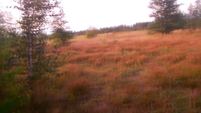 Охота на тетерева смотреть онлайн