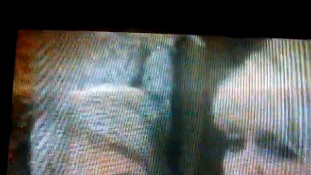 Famosos muertos en 2013 parte 1 смотреть онлайн