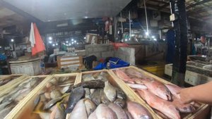 Jimbaran Fish Market, Рыбный рынок Бали, выбор рыбы